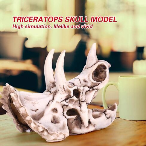 Fdit Dinosaur Triceratops Imitation Skull Model Simulated Skeleton Home Office Display Decorative Craft Box Decoration in Saudi Arabia