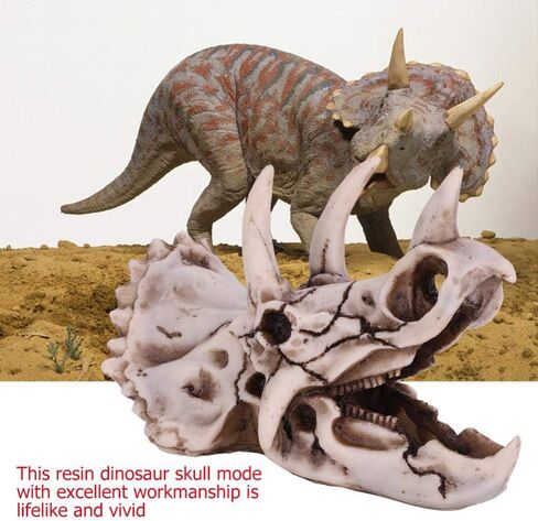 Fdit Dinosaur Triceratops Imitation Skull Model Simulated Skeleton Home Office Display Decorative Craft Box Decoration in Saudi Arabia