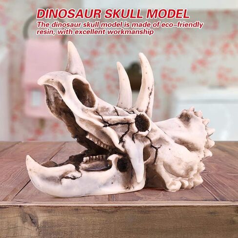 Fdit Dinosaur Triceratops Imitation Skull Model Simulated Skeleton Home Office Display Decorative Craft Box Decoration in Saudi Arabia
