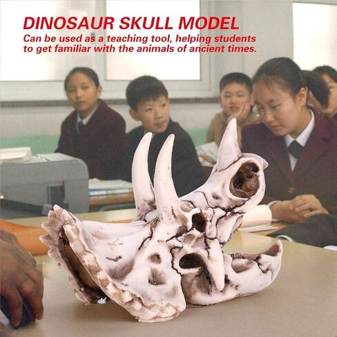 Fdit Dinosaur Triceratops Imitation Skull Model Simulated Skeleton Home Office Display Decorative Craft Box Decoration in Saudi Arabia