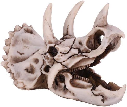 Fdit Dinosaur Triceratops Imitation Skull Model Simulated Skeleton Home Office Display Decorative Craft Box Decoration in Saudi Arabia