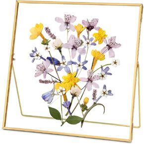 Glass Frame for Pressed Flowers Handmade, Double Glass Frame, Tabletop Frame, Flower Press Photo Frame Simple Metal Geometric Floating Frame Glass Picture Frame, Square, Gold, 4x4 Inches