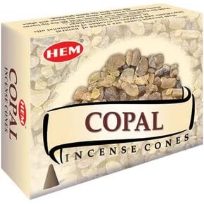 HEM Copal Cones Pack of 120 Cones | Natural Long Lasting Aroma | Home Essential, Aromatherapy Incense for Air Purifier, Stress Relief & Cleansing