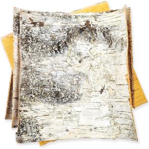 White Birch Bark 4 Sheets 12" x 12" DIY Crafts, Natural Birch Tree Bark Slices to Make Your Own Wood Coasters, Decorative Candle Holder, Birch Candles, Birch Planter