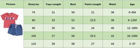 BULINGNA Infant Toddler Baby Boys 4th of July Outfit Letter Embroidery Short Sleeve T-Shirt Tops Shorts 2Pcs Summer Clothes in Saudi Arabia