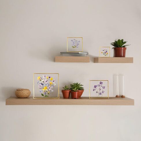 Glass Frame for Pressed Flowers Handmade, Double Glass Frame, Tabletop Frame, Flower Press Photo Frame Simple Metal Geometric Floating Frame Glass Picture Frame, Square, Gold, 4x4 Inches in Saudi Arabia