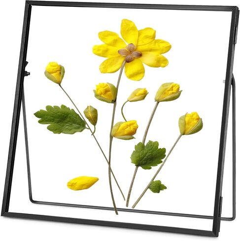 Glass Frame for Pressed Flowers Handmade, Double Glass Frame, Tabletop Frame, Flower Press Photo Frame Simple Metal Geometric Floating Frame Glass Picture Frame, Square, Gold, 4x4 Inches in Saudi Arabia