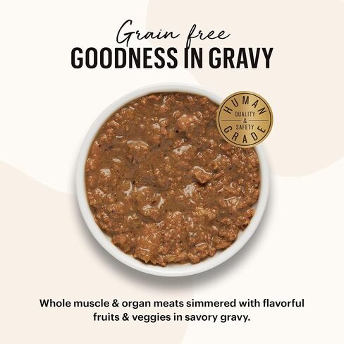 The Honest Kitchen Grain Free Minced Chicken in Bone Broth Gravy Wet Cat Food, 2.8 oz x12 in Saudi Arabia