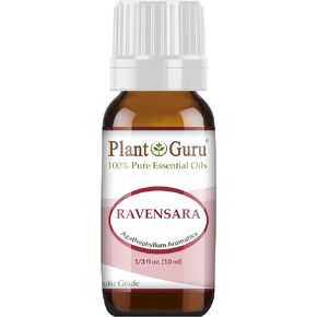 Wild Ravensara Essential Oil (Agathophyllum Aromatica Madagascar) 10 ml 100% Pure Undiluted Therapeutic Grade.