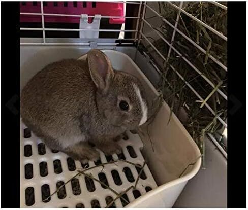 Md trade Square Potty Trainer Corner Litter Bedding Box Pet Pan for Small Animal/Guinea Pig/Rabbit/falesaur/Ferrets(White) in Kuwait