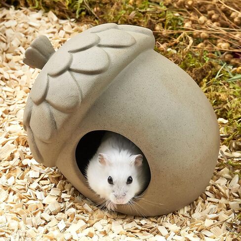 BUCATSTATE Hamster Hideout Ceramic, Acorn Shape Hamster House and Habitats for Dwarf Hamster Gerbils Rat Small Animal Cage Habitat Decor, Nature Themed Hamster Cage Accessories in Kuwait