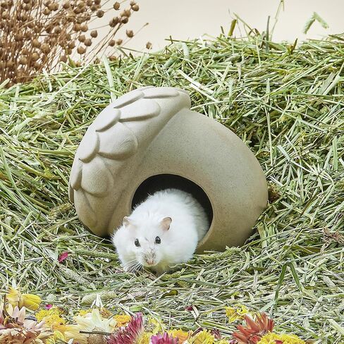 BUCATSTATE Hamster Hideout Ceramic, Acorn Shape Hamster House and Habitats for Dwarf Hamster Gerbils Rat Small Animal Cage Habitat Decor, Nature Themed Hamster Cage Accessories in Kuwait