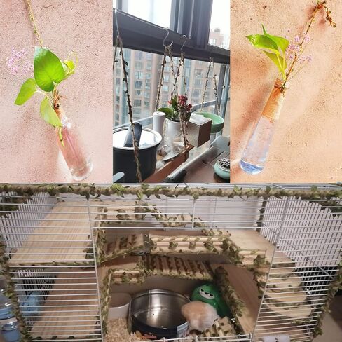 خيوط الجوت الطبيعية بطول 164 قدمًا مع أوراق الخيش، 4 خيوط حبل ناعم متين، أوراق كرمة خضراء صناعية، ممتازة للشريط واللف وغيرها من ملحقات الحرف اليدوية in Kuwait