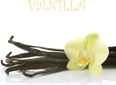 زيت عطري فاخر بالفانيليا (60 مل / 2 أونصة سائلة) أجهزة نشر الروائح العلاجية، أجهزة التدفئة الكهربائية، كرات التجفيف، العطور، صناعة الصابون، صناعة الشموع in Saudi Arabia