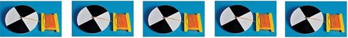 United Scientific™ SCDSK1 Plastic Secchi Disk in Saudi Arabia