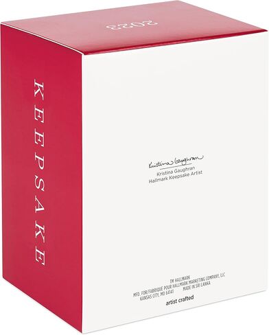 Hallmark Keepsake Christmas Ornament 2023, Star Wars: Revenge of the Sith Anakin Skywalker, Gifts for Star Wars Fans in Saudi Arabia
