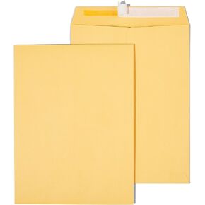 Staples 381970 Easyclose Catalog Envelopes 9-Inch L X 12-Inch H Brown 100/Box (381970/19024)