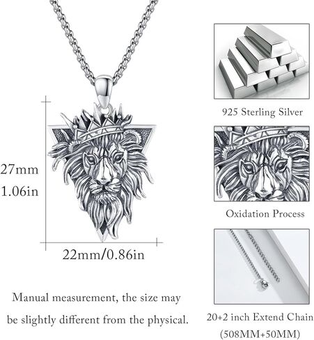 الأسد قلادة للرجال النساء 925 الفضة الاسترليني الأسد قلادة قلادة الأسد رئيس قلادة 3D الأسد الملك خمر الحيوان مجوهرات هدايا للرجال النساء الأب عيد الأم عيد ميلاد in Kuwait