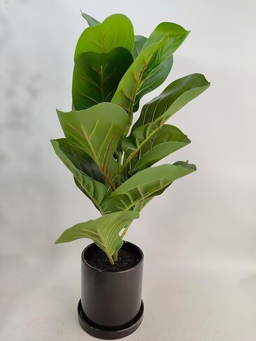 Artificial Green Plant 22" H Fiddle Leaf Tree with Black Ceramic Pot Indoor & Outdoor Decoration (Fiddle Leaf) in Saudi Arabia