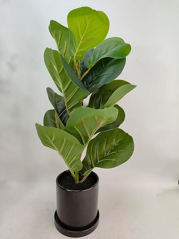 Artificial Green Plant 22" H Fiddle Leaf Tree with Black Ceramic Pot Indoor & Outdoor Decoration (Fiddle Leaf) in Saudi Arabia