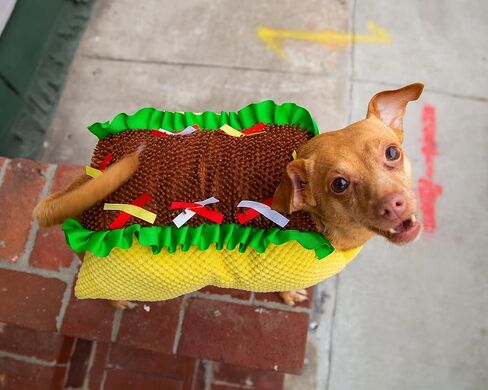 زي الحيوانات الأليفة Krewe Taco للكلاب والقطط مقاس متوسط ​​- أزياء مضحكة لطعام الحيوانات الأليفة - مثالية للهالوين، وأعياد الميلاد، وعطلات الكريسماس، والحفلات، والتقاط الصور، وهدايا لمحبي الكلاب والقطط in Kuwait