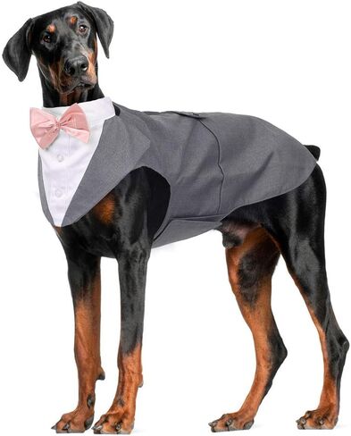 ROZKITCH Dog Costume, Dog Tuxedo Costume with Collar Bandana Bow Tie Set for Wedding, Pet Tuxedo Suit for Large Dog, Formal Party Shirt Halloween Birthday Cosplay Elegant Dog Apparel Gray in Saudi Arabia