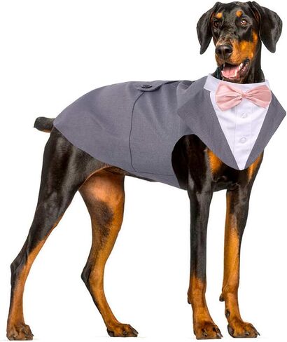 ROZKITCH Dog Costume, Dog Tuxedo Costume with Collar Bandana Bow Tie Set for Wedding, Pet Tuxedo Suit for Large Dog, Formal Party Shirt Halloween Birthday Cosplay Elegant Dog Apparel Gray in Saudi Arabia