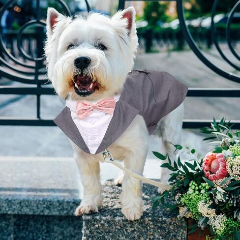 ROZKITCH Dog Costume, Dog Tuxedo Costume with Collar Bandana Bow Tie Set for Wedding, Pet Tuxedo Suit for Large Dog, Formal Party Shirt Halloween Birthday Cosplay Elegant Dog Apparel Gray in Saudi Arabia
