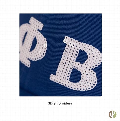 Desert Cactus Zeta Phi Beta Baseball Hat Brimmed Embroirderd Cap Adjustable Cloth Strap Adult (Style 2) Blue in Saudi Arabia