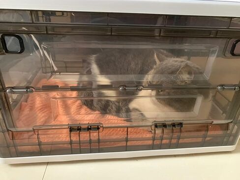 Puppy Incubator,Incubator for Puppies Large PET Brooder Nursery,Kitten Incubator, Puppy Incubator with Nebulization (85L with Pet Heating Pad) in Saudi Arabia
