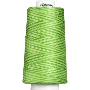Signature Thread Machine Quilting Thread, 3000 yd, Variegated Spring Grass