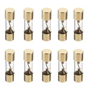Fielect 10Pcs 100A AGU Glass Fuse 10 X 38mm Car Auto Audio Power Safety Protect Glass Tube Gold Plated Radio