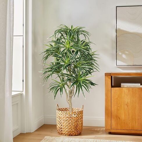 Hollyone 4ft Artificial Tree Faux Dracaena Tree Indoor Plant Evergreen Dracaena Fake Palm Tropical Floor Plant in Pot for Home Office Living Room Garden Indoor Outdoor Decor in Saudi Arabia