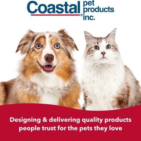 Coastal Pet - Li'l Pals - Adjustable Breakaway Kitten Collar Multipack, 5/16" x 6"-8", Fish with Bubbles, Green Dots, and Blue Leopard in Saudi Arabia