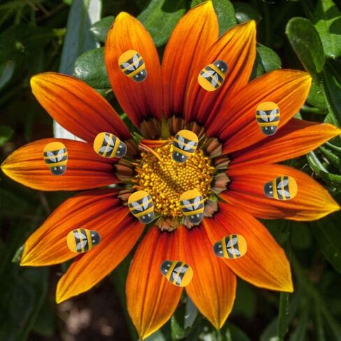 200Pcs Tiny Resin Bees Decor Mini Flatback Self-Adhesive Bumble Bees Wooden Bees Embellishments Set for DIY Craft Making Scrap-Booking Party Home Decor (Yellow) in Saudi Arabia