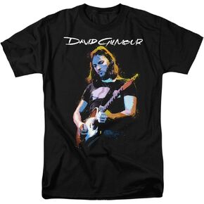 Popfunk David Gilmour Pink Floyd Guitar T Shirt & Stickers
