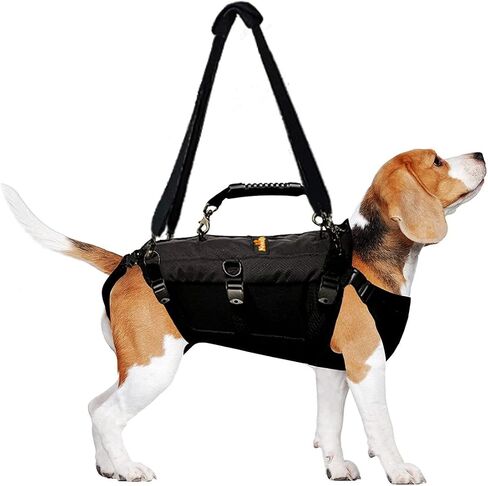 5-in-1 Dog Support Harness - Full Body Lift Harness Support Sling Padded Vest Back Brace - Great for Pet Mobility, Hip & Joints, Back Support, Anxiety by Neoally (Small) in Saudi Arabia