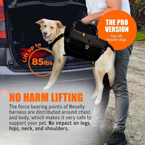 5-in-1 Dog Support Harness - Full Body Lift Harness Support Sling Padded Vest Back Brace - Great for Pet Mobility, Hip & Joints, Back Support, Anxiety by Neoally (Small) in Saudi Arabia
