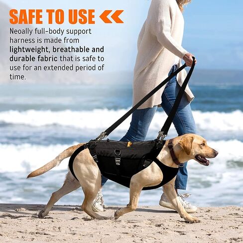 5-in-1 Dog Support Harness - Full Body Lift Harness Support Sling Padded Vest Back Brace - Great for Pet Mobility, Hip & Joints, Back Support, Anxiety by Neoally (Small) in Saudi Arabia