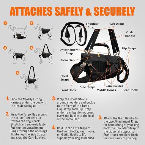 5-in-1 Dog Support Harness - Full Body Lift Harness Support Sling Padded Vest Back Brace - Great for Pet Mobility, Hip & Joints, Back Support, Anxiety by Neoally (Small) in Saudi Arabia