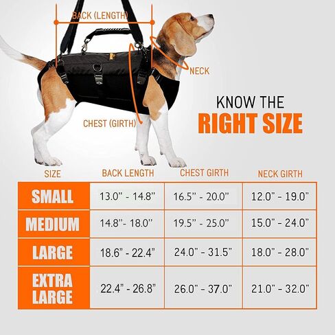 5-in-1 Dog Support Harness - Full Body Lift Harness Support Sling Padded Vest Back Brace - Great for Pet Mobility, Hip & Joints, Back Support, Anxiety by Neoally (Small) in Saudi Arabia
