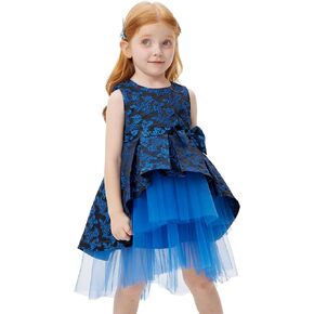 Girls Foral Dress High Low Dress Jacquard Sleeveless Tiered Tulle Daily Party Wear Blue Rose