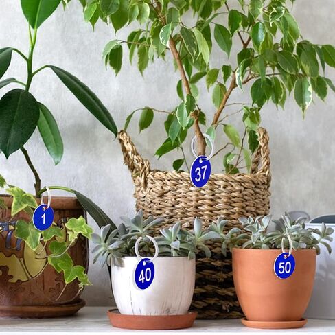 Plastic ID Number Tags, 1-50 Number Colorful Marking Identification Tag, Numbered Tags Round Hole Hang Tags, Number Tags Keychain Number Label Round Number Key Ring(Blue) in Saudi Arabia