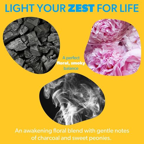 Bergamot & Vetiver Scented Candle - Non Toxic Soy & Coconut Blend with Cotton Wick - Natural Vegan Candles for Men and Women with Gift Box - Made in The USA - 50hr Slow Burn in Saudi Arabia