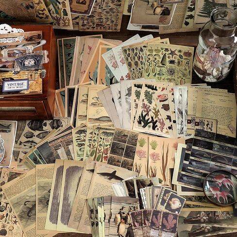 200PCS Vintage Scrapbooking Supplies Pack for Junk Journal Bullet Journals Planners Decoupage Paper Scrapbook Stickers Aesthetic Cottagecore Collage Craft Album (Sunset) in Saudi Arabia