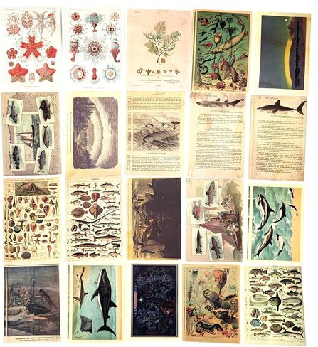 200PCS Vintage Scrapbooking Supplies Pack for Junk Journal Bullet Journals Planners Decoupage Paper Scrapbook Stickers Aesthetic Cottagecore Collage Craft Album (Sunset) in Saudi Arabia