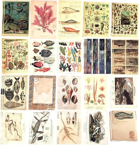 200PCS Vintage Scrapbooking Supplies Pack for Junk Journal Bullet Journals Planners Decoupage Paper Scrapbook Stickers Aesthetic Cottagecore Collage Craft Album (Sunset) in Saudi Arabia