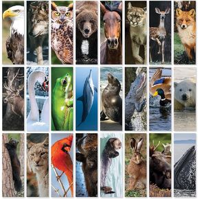 Animals of America Bookmarks - Pack of 48