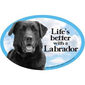 Cat and Dog Magnets, Lab Retriever, Black