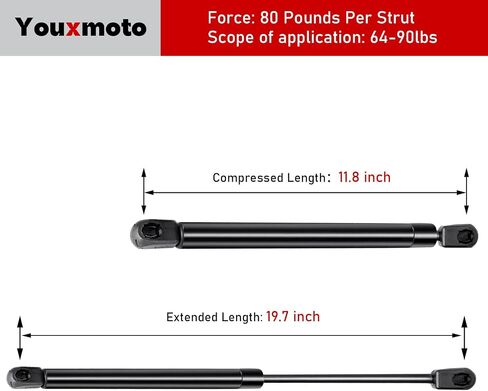 20 inch 80 Lbs Gas Struts Prop Shock 71794 C16-08053 fit for RV Side Door Motorhome Door Camper Shell Rear Window Tonneau Cover Trap Door TV Cabinet RV Bed, 2Pcs in Saudi Arabia